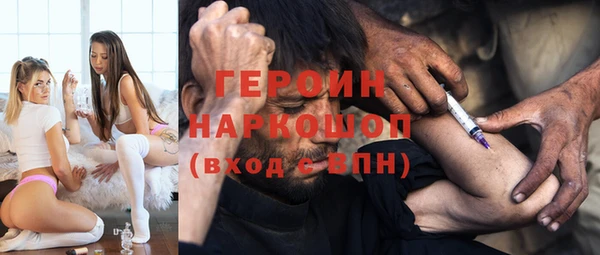гидра Бородино