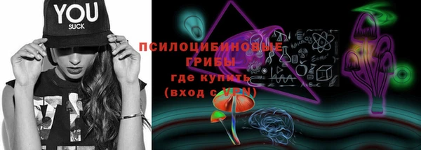 соль ск Бугульма