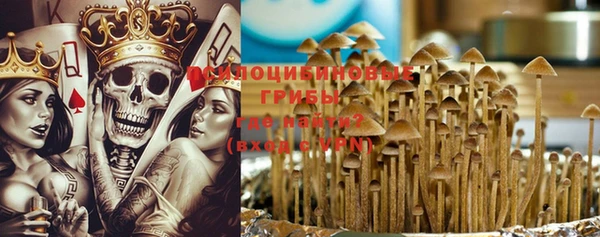 PSILOCYBIN Усмань