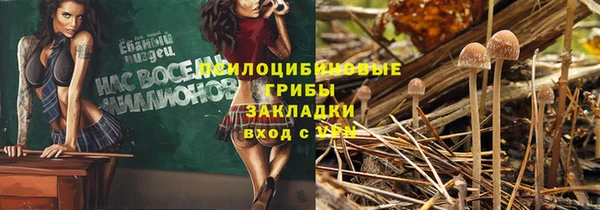 соль ск Бугульма