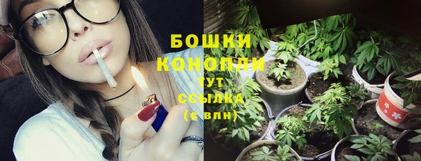 гидра Бородино